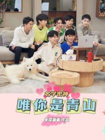 名学密神：唯你是青山