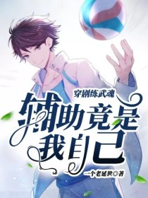 穿剧练武魂：辅助竟是我自己