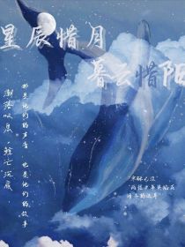 星辰惜月，暮云惜阳
