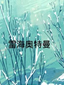 雷海奥特曼