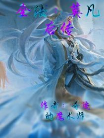 全法：莫凡后传