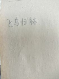 飞鸟归林