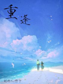 重逢（再遇）