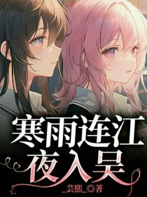 寒雨连江夜入吴