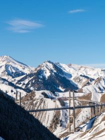 异能者：变异世界