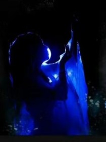 九香不怕王府深