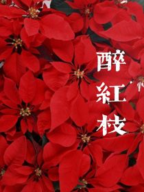 醉红枝
