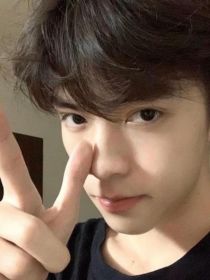 保家卫国的五对cp