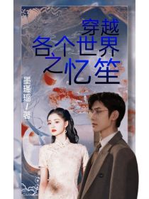 穿越各个世界之忆笙