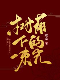 树荫下的一束光