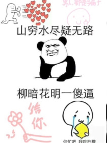 这是苏苏文啊