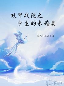 超环战陀之少主的未婚妻