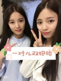 一对儿双胞胎