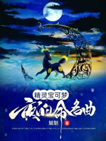 精灵宝可梦：夜的命名曲