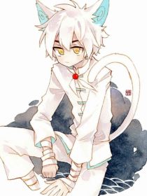 京剧猫：白糖的身份！