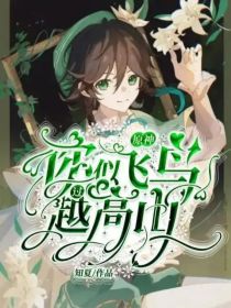 原神：你似飞鸟越过高山