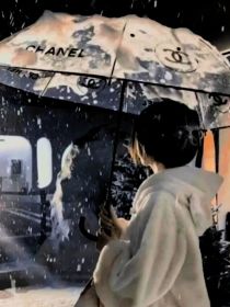 TF三代：夫人马甲又掉了