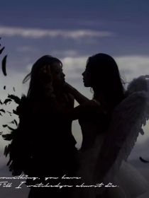 网王名柯：光与影的相交（观影体）