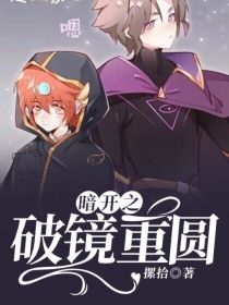 暗开之破镜重圆