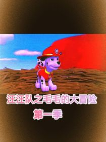 汪汪队之毛毛的大冒险第一季