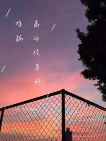 高冷校草好难搞