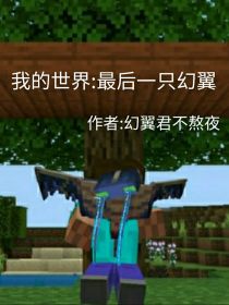 我的世界：最后一只幻翼