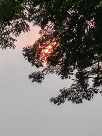 原神：背光处的主角