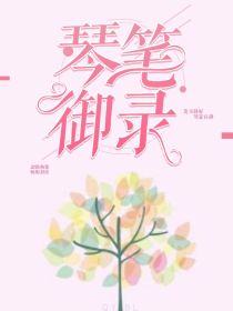 琴御笔录