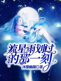 流星雨划过的那一刻