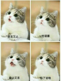 太空沙CP文（可投稿）