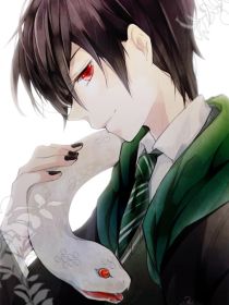 HP之来自东方的神兽