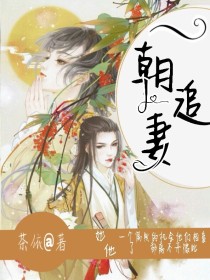 一朝追妻