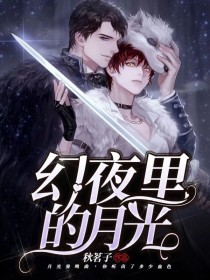 幻夜里的月光