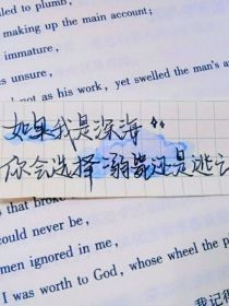 布丁杂货铺（主长评）