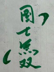 真三国聊天无双