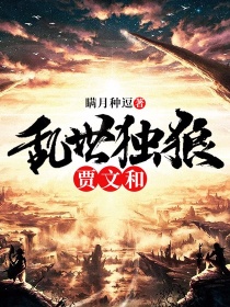 乱世独狼贾文和