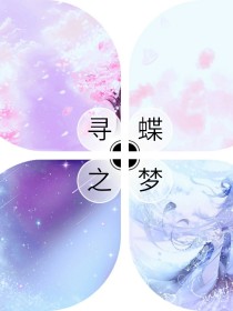 寻蝶之梦
