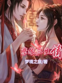 孽缘三生情