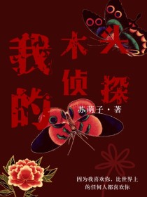 我的木头侦探
