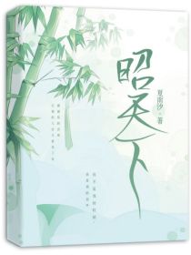 昭天下