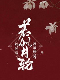 若似月轮终皎洁