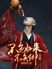 不负如来不负卿（改编）