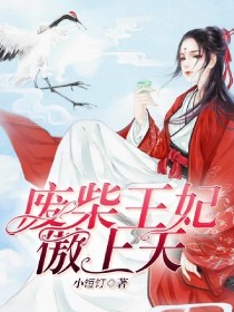 废柴王妃傲上天