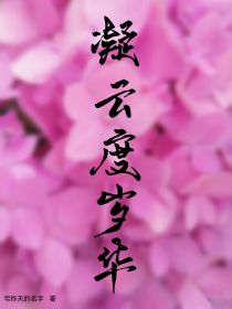 凝云度岁华
