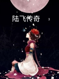 《陆飞传奇》3
