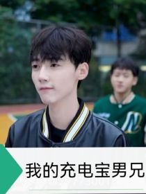 我的充电宝兄弟