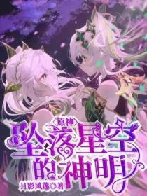 原神：坠落星空的神明