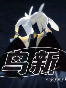 SKY：鸟新——功高震主