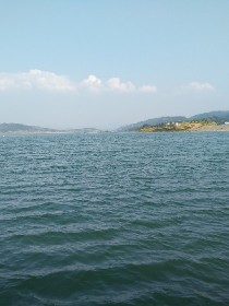 纵情四海之独步天下