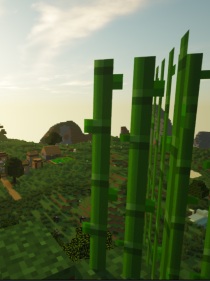 在MC里成为甘蔗的我要生活下去